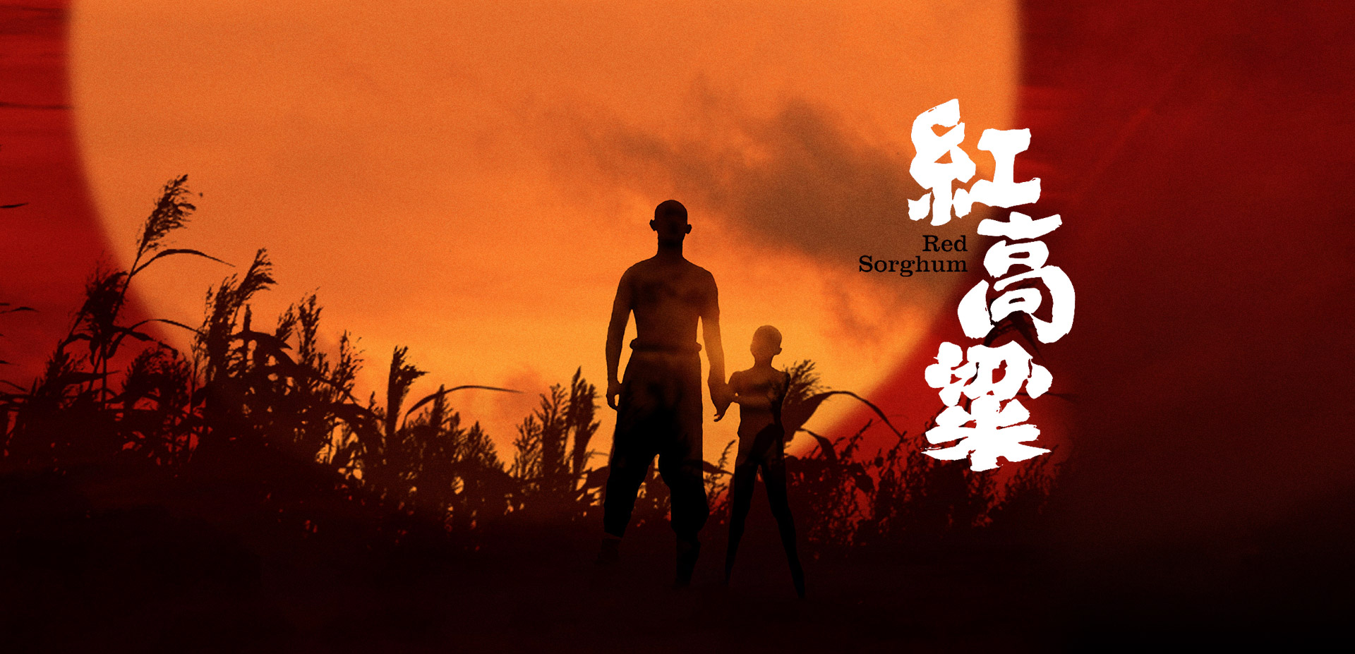 电影网站介绍几个安全的主要内容怎么写